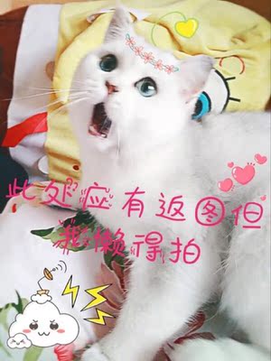 不错。穿着挺舒服的。