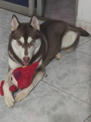 此用户没有填写评价。