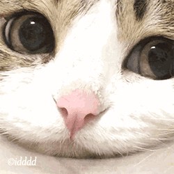 挺好的好评！好评！