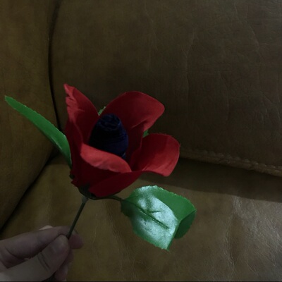 看了包装就立刻来给评价了！，很聪明内内放在玫瑰花里面，有创意又好看！店家还送了我好几条内裤呢！质量真的很好！很高级的那种蕾丝，和便宜货真的不一样，而且丝袜的丝质很细腻那种，上身了很显腿细，睡衣建议大胸妹子拍大一码，我拍的m码，胸围那里略紧