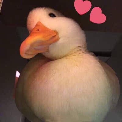 淘宝几年才知道原来评论85个字才会有积分。所以从今天到以后,这段话走到哪里就会复制到哪里。首先要保证质量啊,东西不赖啊。不然就用别的话来评论了。不知道这样子够不够85字。谢谢老板的认真检查。东西特别好,我不是刷评论的,我是觉得东西好我才买的,你会发现我每一家都是这么写的。因为复制一下就好了 淘宝几年才知道原来评论85个字才会有积分。所以从今天到以后,这段话走到哪里就会复制到哪里。首先要保证质量啊,东西不赖啊。不然就用别的话来评论了。不知道这样子够不够85字。谢谢老板的认真检查。东西特别好,我不是刷评论的,我是觉得东西好我才买的,你会发现我每一家都是这么写的。因为复制一下就好了