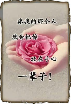 此用户没有填写评价。