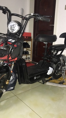 48V新款思帝诺电动车成人电动自行车男女性电瓶车小型锂电代步车