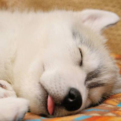 我跟你讲，吹爆这家店，内衣超级好看，有很好穿，非常舒服，只是我觉得小内内不好意思拍照片红红火火恍恍惚惚哈哈哈哈哈哈哈哈哈红红火火恍恍惚惚哈哈哈哈哈哈哈哈哈红红火火恍恍惚惚哈哈哈哈哈哈哈哈哈红红火火恍恍惚惚哈哈哈哈哈哈哈哈哈红红火火恍恍惚惚哈哈哈哈哈哈哈哈哈，老板的服务态度超级好，给老板一个大大的赞