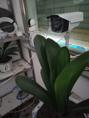 揭秘维安视摄像头怎么样，真相如何,不看后悔