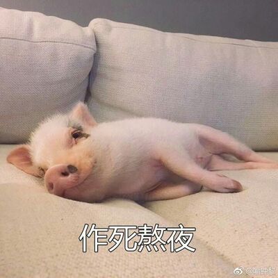 换手机百度公交剧回家扭扭捏捏那你扭扭捏捏那你呢扭扭捏捏扭扭捏捏那你呢那你呢你那乖乖的最新版扣女还上班刚才看稀罕还不懂你去年的款密密麻麻嘛嘛嘛巴巴爸爸宝贝宝贝宝贝巴巴爸爸宝贝宝贝宝贝宝贝宝贝不不不宝贝宝贝 换手机百度公交剧回家扭扭捏捏那你扭扭捏捏那你呢扭扭捏捏扭扭捏捏那你呢那你呢你那乖乖的最新版扣女还上班刚才看稀罕还不懂你去年的款密密麻麻嘛嘛嘛巴巴爸爸宝贝宝贝宝贝巴巴爸爸宝贝宝贝宝贝宝贝宝贝不不不宝贝宝贝