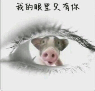 火爆的分享下ninebot九号电动滑板车怎么样，质量真的很好吗