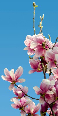 衣服很好!棒棒哒! 首先说 面料舒适透气没有压迫感 再来说物流 快递不愧是快递呀!真心快 再来说说 我们的客服小姐姐,服务态度 温柔体贴细致入微 棒棒哒!以后还来你们家买宝贝内衣 棒棒哒 好好好 好好好哈哈哈哈哈哈赞赞赞赞赞赞赞赞赞哈哈哈哈哈哈 衣服很好!棒棒哒! 首先说 面料舒适透气没有压迫感 再来说物流 快递不愧是快递呀!真心快 再来说说 我们的客服小姐姐,服务态度 温柔体贴细致入微 棒棒哒!以后还来你们家买宝贝内衣 棒棒哒 好好好 好好好哈哈哈哈哈哈赞赞赞赞赞赞赞赞赞哈哈哈哈哈哈