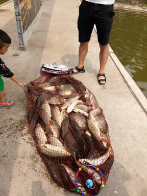 让保罗钓竿口碑行吗,质量怎么样,让保罗钓竿怎么样,让保罗质量真的很好吗?