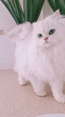 很舒服哟很舒服呦很舒服哟很舒服哟很舒服哟很舒服呦很舒服呦很舒服哟很舒服呦很舒服哟很舒服呦很舒服哟很舒服哟很舒服哟很舒服呦很舒服呦很舒服哟很舒服呦很舒服哟很舒服呦很舒服哟很舒服哟很舒服哟很舒服呦很舒服呦很舒服哟很舒服呦很舒服哟很舒服呦很舒服哟很舒服哟很舒服哟很舒服呦很舒服呦很舒服哟很舒服呦 很舒服哟很舒服呦很舒服哟很舒服哟很舒服哟很舒服呦很舒服呦很舒服哟很舒服呦很舒服哟很舒服呦很舒服哟很舒服哟很舒服哟很舒服呦很舒服呦很舒服哟很舒服呦很舒服哟很舒服呦很舒服哟很舒服哟很舒服哟很舒服呦很舒服呦很舒服哟很舒服呦很舒服哟很舒服呦很舒服哟很舒服哟很舒服哟很舒服呦很舒服呦很舒服哟很舒服呦