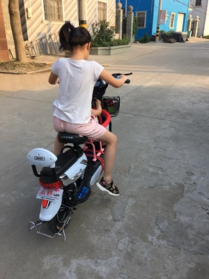 激战新款电动车成人电动自行车48V小型电瓶车男女代步电车电动车