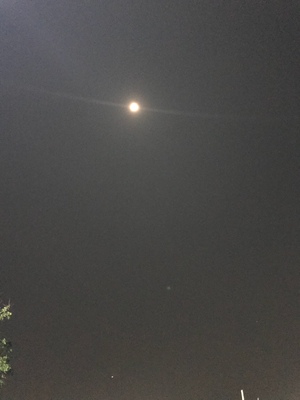 一如既往的好穿,这是我穿过对小胸最友好的内衣,不会空杯,一切都刚刚好。 一如既往的好穿,这是我穿过对小胸最友好的内衣,不会空杯,一切都刚刚好。