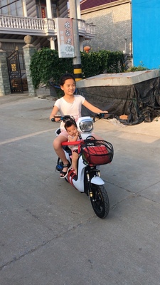 激战新款电动车成人电动自行车48V小型电瓶车男女代步电车电动车