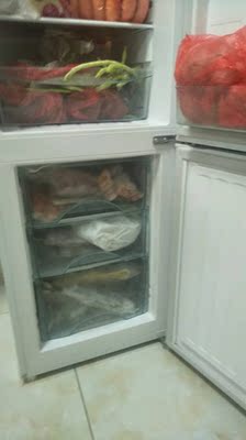 Haier/海尔 BCD-196TMPI 196升两门家用静音节能电冰箱 冷藏冷冻