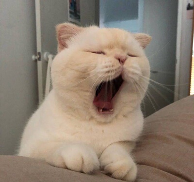 挺好看的  大小正好