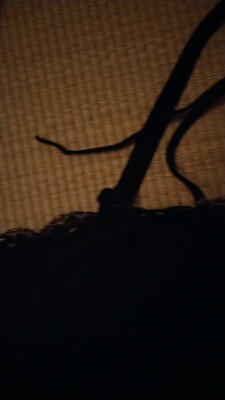 实在无语了，第一次发个坏的，叫我寄回去换，这次又是个坏的，差差差