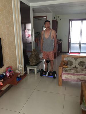 调查心得申燕平衡车怎么样，真相如何,不看后悔