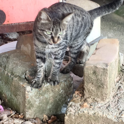 超级好看，嘿嘿