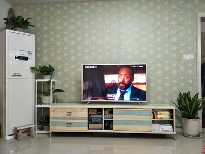 TCL 49A660U 49英寸4K金属超薄30核高清智能LED液晶网络平板电视