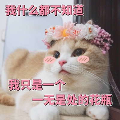 挺好看的，就是有点味道。