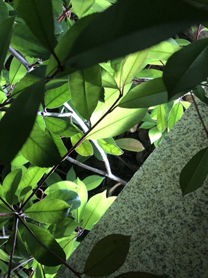 衣服还可以  裤子不舒服