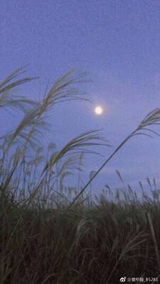 衣服买给妈妈穿的，白色最仙气了，单穿里面的套装会有点露，但是外面有个外搭真的是不错了，遮掉肚子上和大腿根的肉，保守中透露着小性感，耐思耐思耐思耐思耐思耐思耐思耐思耐思耐思耐思耐思耐思耐思耐思耐思耐思耐思耐思耐思耐思耐思耐思耐思耐思耐思耐思耐思