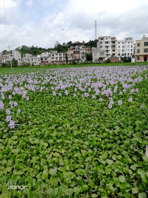 收到了,一般般啦,习惯好评。 收到了,一般般啦,习惯好评。
