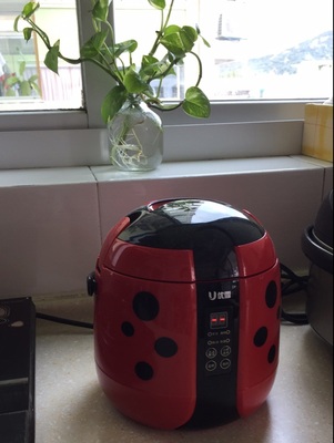 讨论优雪YX-1220B电饭煲怎么样,优雪好不好呢,用后反馈