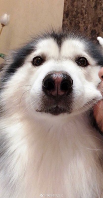 还不错，摸起来手感很好，和店里面差不多，以后再来购买