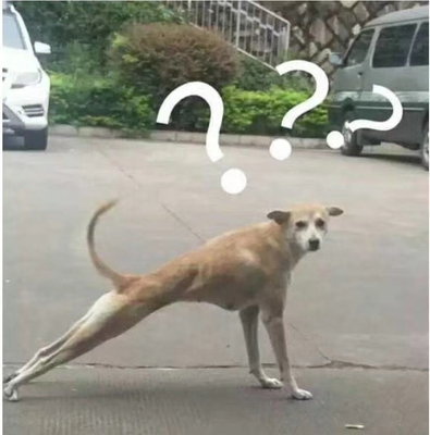 这件显得背部线条很美，价格也还行，好评！！