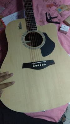 目前看来卢森吉他怎么样，质量好吗？300多的Rosen卢森入门吉他能买吗