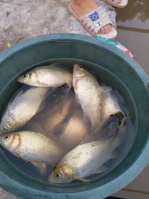 让保罗钓竿口碑行吗,质量怎么样,让保罗钓竿怎么样,让保罗质量真的很好吗?