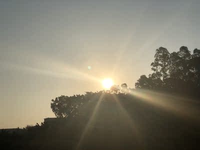 想要聚拢的就选择这款~