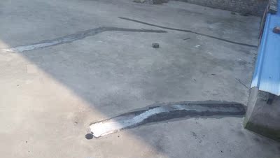 调查心得莱仕德防水怎么样,莱仕德防水涂料质量差不差呢