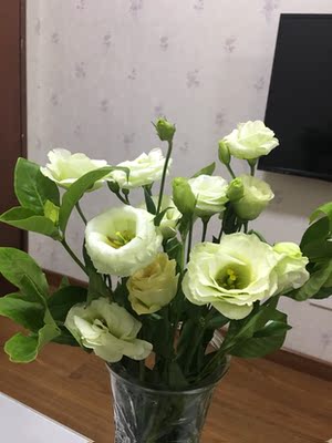 此用户没有填写评价。