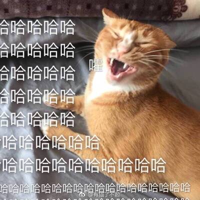 很漂亮很显气质，穿上变女神哈哈哈哈