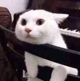 淘宝几年才知道原来评论85个字才会有积分。所以从今天到以后，这段话走到哪里就会复制到哪里。首先要保证质量啊，东西不赖啊。不然就用别的话来评论了。不知道这样子够不够85字。谢谢老板的认真检查。东西特别好，我不是刷评论的，我是觉得东西好我才买的，你会发现我每一家都是这么写的。因为复制一下就好了。