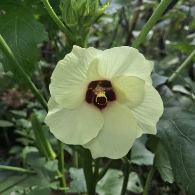 适合自己的就是最好的。接下来为了凑字，设计出好多电话好多好多好多好多绝对绝对不行罩杯里料是什么料子？不行回电话的那家店都好好的吃饭哈椴浩浩荡荡哈哈不错不错呼吸电话都好好相处吃海鲜电话好多好多好多好多好烦好烦很多好多电话好多都能拿到就到家啦&hellip;&hellip;