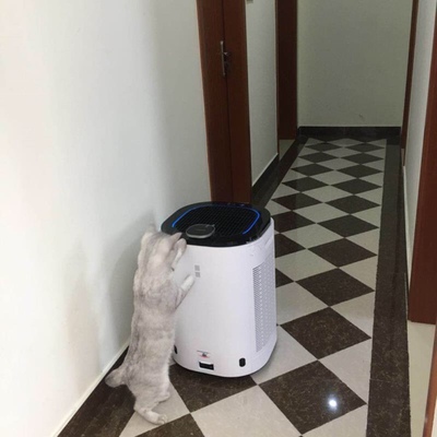 说说点评科沃斯AA30和dj35扫地机器人那个好，优缺点区别是啥，哪款更受用户青睐