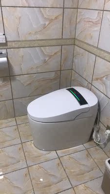 调查心得摩普智能马桶怎么样，好不好用？这个牌子属于几线品牌？