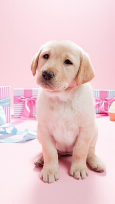 说好的收货后退一半的钱，根本不是嘛