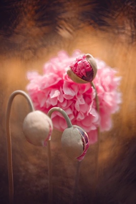 质量不错，很薄，夏天穿很凉快。希望比便宜的脱边慢点。