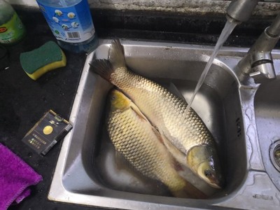 体验霸将鱼竿怎么样,霸将清风鱼竿好不好用?是杂牌的吗?