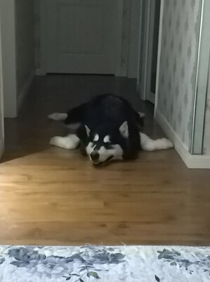 东西挺好的，以下为凑字数。 我们总是容易用一种自虐的方式制造出一种痴情的假象来使自己站在感情的道德制高点上，获得一种畸形的满足感和安全感。 大半夜默默站在对方楼下守望； 为了等一通电话彻夜未眠； 或是无数次冒着大雨给TA送一杯奶茶； 迫不及待地将满腔爱意表达出来， 但是对于对方来说，一杯奶茶就是一杯奶茶，一通忘了打的电话也只是一句抱歉而已。 爱得太用力，表现得太迫不及待，反而脱离了生活，进入了表演。 其实有的时候，我们感动的只是自己而已。