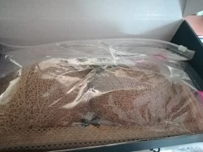 刚刚收到这套内衣，洗好来评价。第一次这么认真评价，毕竟等了这么久。先说说优点，不厚，挺薄的，聚拢效果也还可以，洗了也不褪色，边边不刺人，包装是挺好的，一个专门的盒子，内衣不会在运输过程中收到挤压之类的。再说说缺点，发货真的太慢了，为啥我开始买的时候没看到是预售款，而且客服开始也没说是预售款，后来我等着等着问，然后才告诉我，虽然物流很快，但是它发货慢。然后内衣不收副乳。内衣总的来说还行，毕竟不贵。