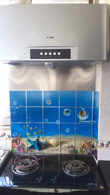 用后真相方太油烟机怎么样,方太SY09G油烟机好不好,价格多少