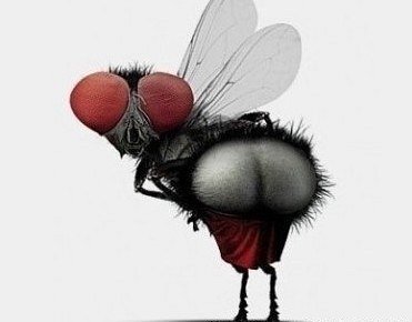 因为本仙女很懒,不想每一件商品都一样一样地去写好评,所以特意写了这样一个评论。但是这件商品无论是质量、材质还是款式,肯定都是本仙女所中意的,如果本仙女不喜欢的话,本仙女收到货肯定是会很生气的,很气很气的那种哦。不然这个评论肯定会变成那种喋喋不休,怨气横生,怨天怨地的那种。最后当然不可能忘了给这件商品一个好评,给各位爱淘宝的宝宝们一个购物参考,这个产品还是非常值得购买的! 祝看到这条评论的各位小仙女们永远年轻漂亮美丽大方,永远都是16岁 因为本仙女很懒,不想每一件商品都一样一样地去写好评,所以特意写了这样一个评论。但是这件商品无论是质量、材质还是款式,肯定都是本仙女所中意的,如果本仙女不喜欢的话,本仙女收到货肯定是会很生气的,很气很气的那种哦。不然这个评论肯定会变成那种喋喋不休,怨气横生,怨天怨地的那种。最后当然不可能忘了给这件商品一个好评,给各位爱淘宝的宝宝们一个购物参考,这个产品还是非常值得购买的! 祝看到这条评论的各位小仙女们永远年轻漂亮美丽大方,永远都是16岁