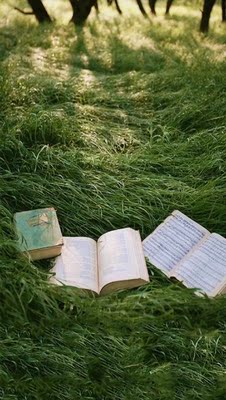 宝贝包装很精美，是正品，难得一次的活动哈哈