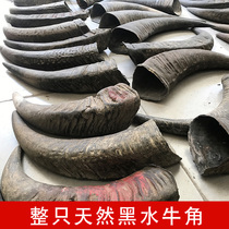 Natural Black Buffalo Horn Raw Material DIY Pendulum Wool Solid Bull Corner Tip Raw Material Slingshot Horn Seal Material Whole