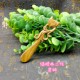Yueyao Sandalwood Crochet Wood Handle Customized hook needle yarn Sandalwood Crochet Bing Solid Wood Handle Crochet Barrier Bin Bin Bin Bin Bin Bin Bin Bin Bin Bin Bin Bin Bin Bin Bin Bin Bin Bin Bin Bin Bin Bin Bin Bin Bin Bin Bin Bin Bin Bin Bin Bin Bin Bin Bin Bin Bin Bin Bin Bin Bin B Yueyao Sandalwood Crochet Wood Handle Customized hook needle yarn Sandalwood Crochet Bing Solid Wood Handle Crochet Barrier Bin Bin Bin Bin Bin Bin Bin Bin Bin Bin Bin Bin Bin Bin Bin Bin Bin Bin Bin Bin Bin Bin Bin Bin Bin Bin Bin Bin Bin Bin Bin Bin Bin Bin Bin Bin Bin Bin Bin Bin Bin B